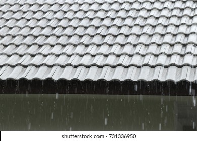 Rain Fell Roof House Stock Photo (Edit Now) 731336950