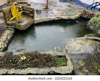 Rain In The Fish Pond, Relax Our Mind