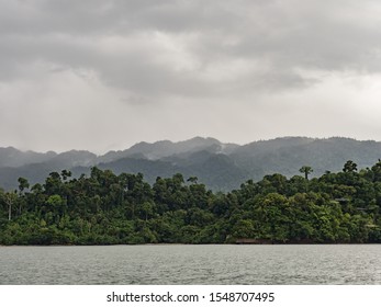 Rain forest.  Arguni, Bird's Head Peninsula, West Papua, Indonesia, Asia.