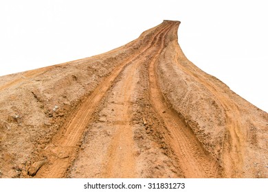 Rain Forest With A Dirt Road