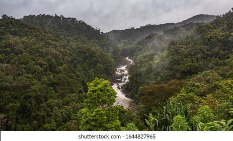 Rain Forest Landscape, Ranomafana, Madagascar