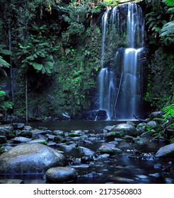 Rain Forest Waterfall, Hopetoun Falls, Victoria Australia