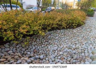 Rain Garden In A City Center With Shrubs And Street With Cars In The Background