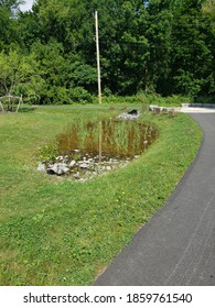 Rain Garden Design Play Ground 