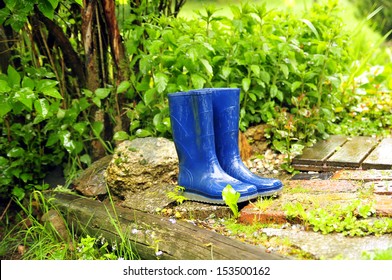 Rain Garden Wet Weather