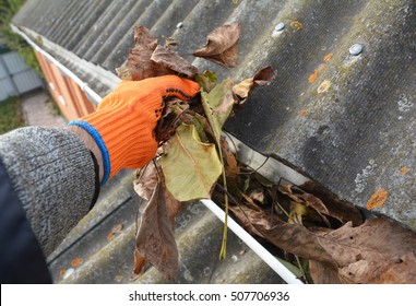 Rain Gutter Cleaning From Leaves In Autumn