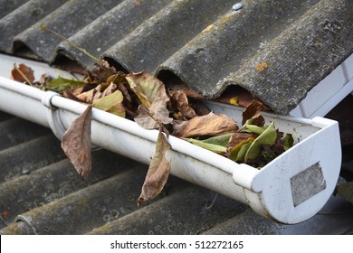 Rain Gutter Cleaning from Leaves in Autumn.