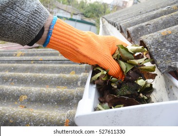 Rain Gutter Cleaning from Leaves in Autumn with hand. Roof Gutter Cleaning Tips. Clean Your Gutters Before They Clean Out Your Wallet. Gutter Cleaning.