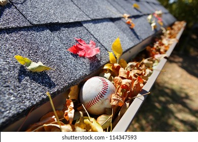 Rain gutter full of autumn leaves with a baseball
