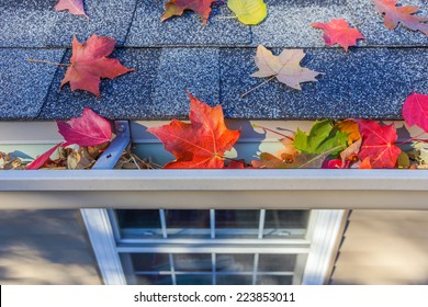 Rain Gutter Full Of Autumn Leaves 