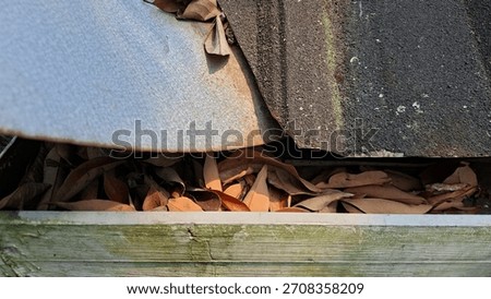 ​Dirty rain gutter jammed with dry leaves beneath old roof tiles and corrugated metal. Perfect texture study for decay, maintenance, and autumn themes. #GutterClog #AutumnLeaves