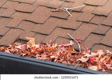 Rain gutters on roof without gutter guards, clogged with leaves, sticks and debris from trees. Increased risk of clogged gutters, rusting, increased need for maintenance and is a potential fire hazard