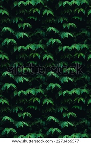 rain leaf shaped geometric pattern
