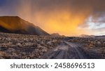 Rain in the Nevada Desert at Sunset - Shallow Depth of Field