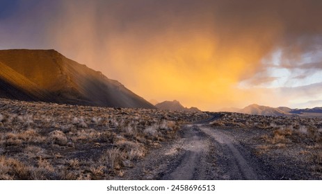 Rain in the Nevada Desert at Sunset - Shallow Depth of Field - Powered by Shutterstock