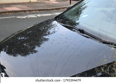 Rain On A Car Bonnet