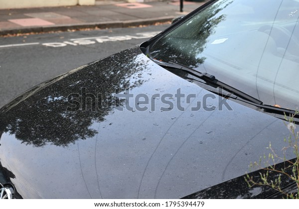 Rain on a Car\
bonnet
