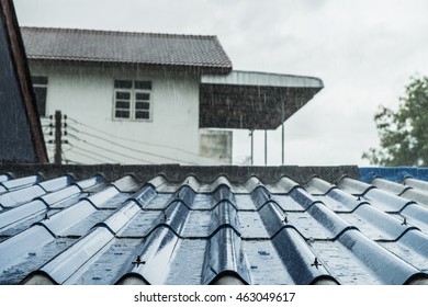 673 Moisted Roof Images, Stock Photos & Vectors | Shutterstock