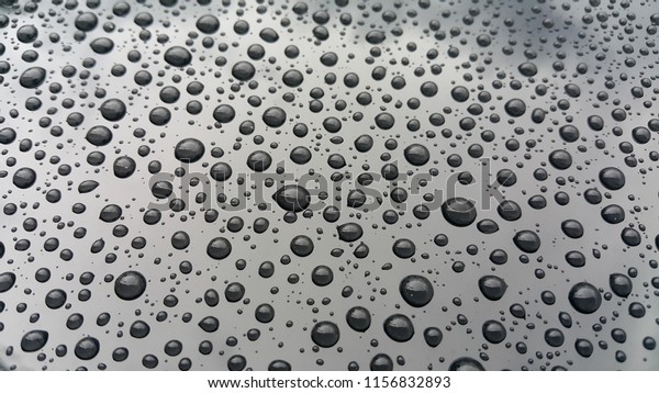Rain on the\
roof of the car , beautiful\
texture