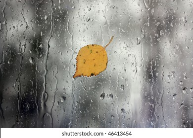 Rain on window with leaf