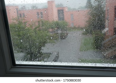 Rain on the window pane distorting the view of the yard into silhouettes and contours .