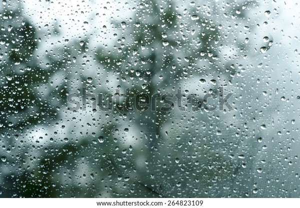 Rain on Window with\
Trees