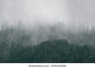 Rain over the green forest. Carpathian foggy mountain hills. Rainy day in summer. - Powered by Shutterstock