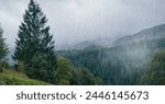 Rain over the green forest mountains. Carpathian foggy mountain hills. Rainy day.