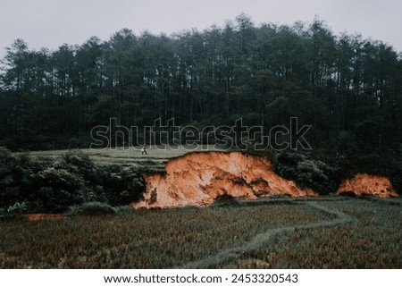 Rain, pine forests, tanah basah, human, longsor