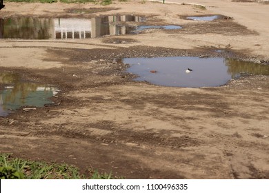 Rain Puddles On Wet Ground