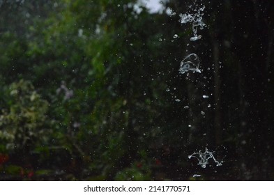 Rain Slow Motion Captures In Nature