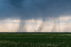 Rain Storm Clouds Stunning Landscape Over Prairie, Alberta Canada