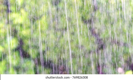 Rain, Storm, Summer Rain, Torrential Rain