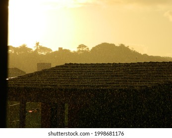 rain with sun through the window
