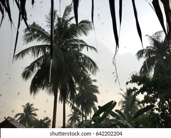 Rain in Thailand