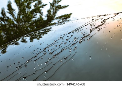 The rain that hits the windshield Is a beautiful clear droplet With the background  that has shadows reflected by light Makes the image look dimensional, fresh, wet, juicy, giving a cool feeling.