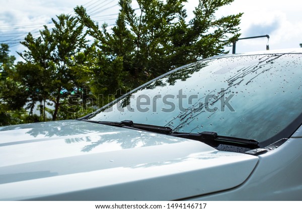 The rain that hits the windshield Is a beautiful
clear droplet With the background  that has shadows reflected by
light Makes the image look dimensional, fresh, wet, juicy, giving a
cool feeling.
