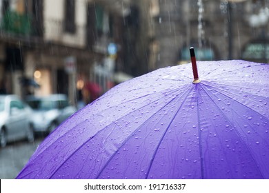 Rain Umbrella