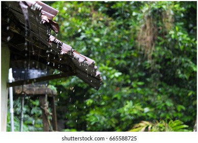 Kerala Rain Images Stock Photos Vectors Shutterstock