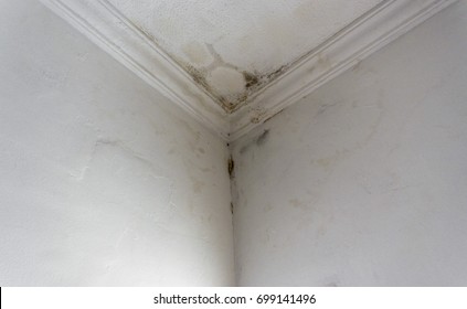 Rain water infiltration and leak inside a home building roof white wall