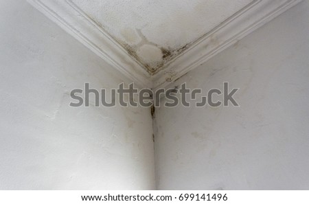 Rain water infiltration and leak inside a home building roof white wall