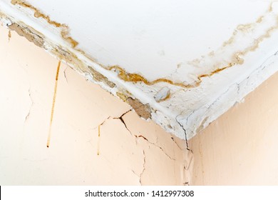 Imagenes Fotos De Stock Y Vectores Sobre Mould Damage