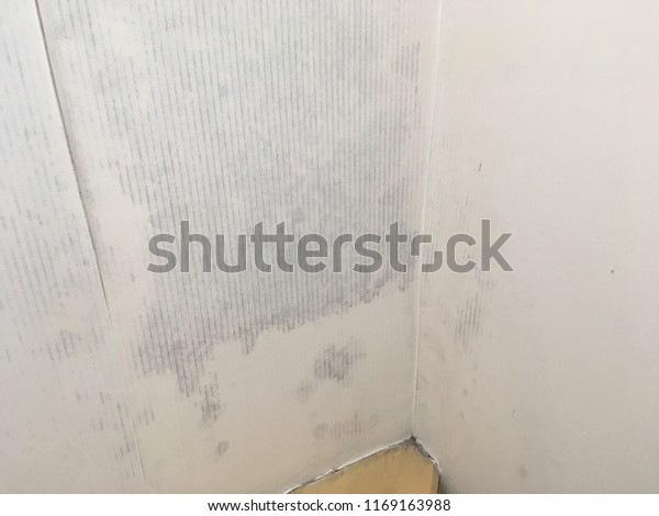 Rain Water Leaks On Ceiling Causing Stock Photo Edit Now