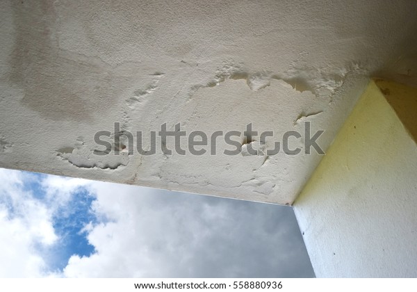 Rain Water Leaks On Ceiling Causing Stock Image Download Now