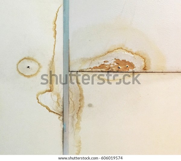 Rain Water Leaks On Ceiling Causing Stock Photo Edit Now