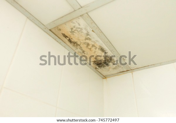 Rain Water Leaks On Ceiling Causing Stock Photo Edit Now