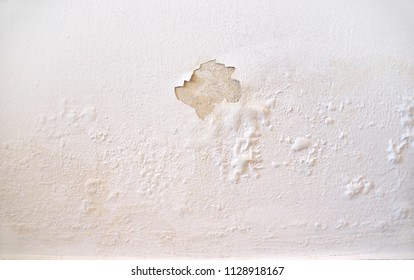 Rain Water Leaks On The Wall Causing Damage And Peeling Paint