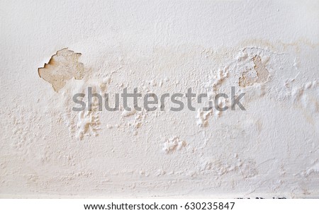 Rain water leaks on the wall causing damage and peeling paint 