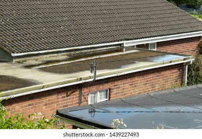 Rain Water On A Flat Roof