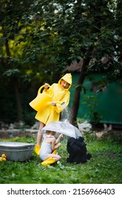 Rain From A Watering Can, Children Play With A Pet Poodle In The Backyard In Summer. Toddler And Dog Hiding Under An Umbrella